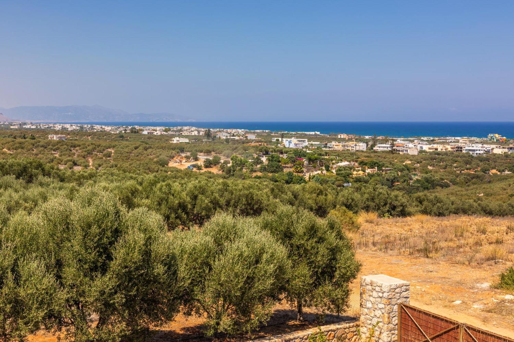 Γηorganic Farm And Houses. Hersonissos  Exterior photo